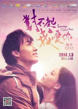 對(duì)不起，我愛你2014
