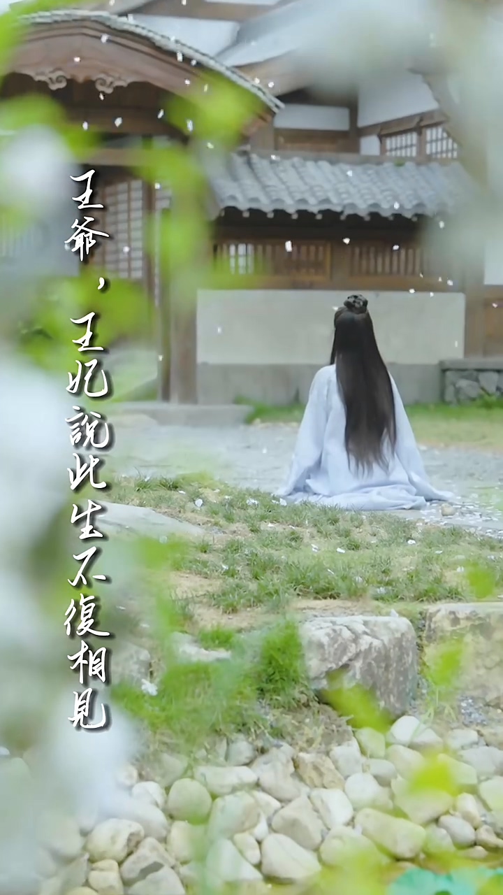王爺，王妃說(shuō)此生不復(fù)相見(jiàn)(全集)