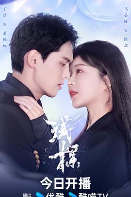 試探2024(全集)