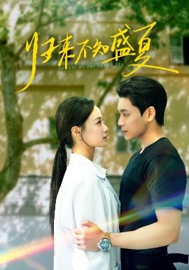 歸來(lái)不知盛夏(全集)