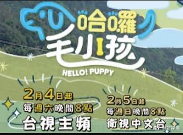 哈啰！毛小孩(全集)