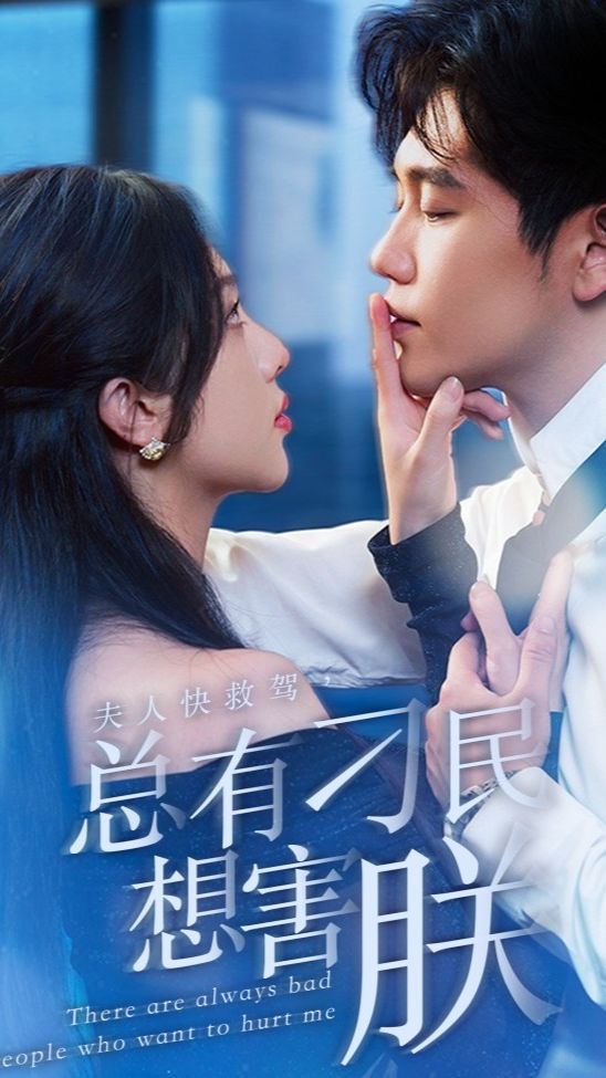 夫人快救駕，總有刁民想害朕(全集)