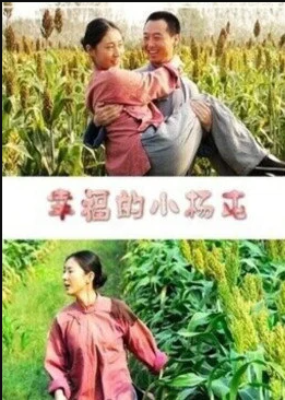 幸福的小楊屯