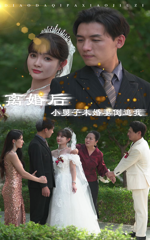 離婚后，小舅子未婚妻倒追我(全集)