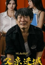 父親進(jìn)城(全集)