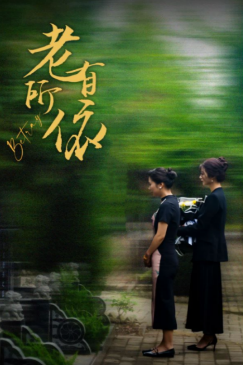 老有所依短劇(全集)