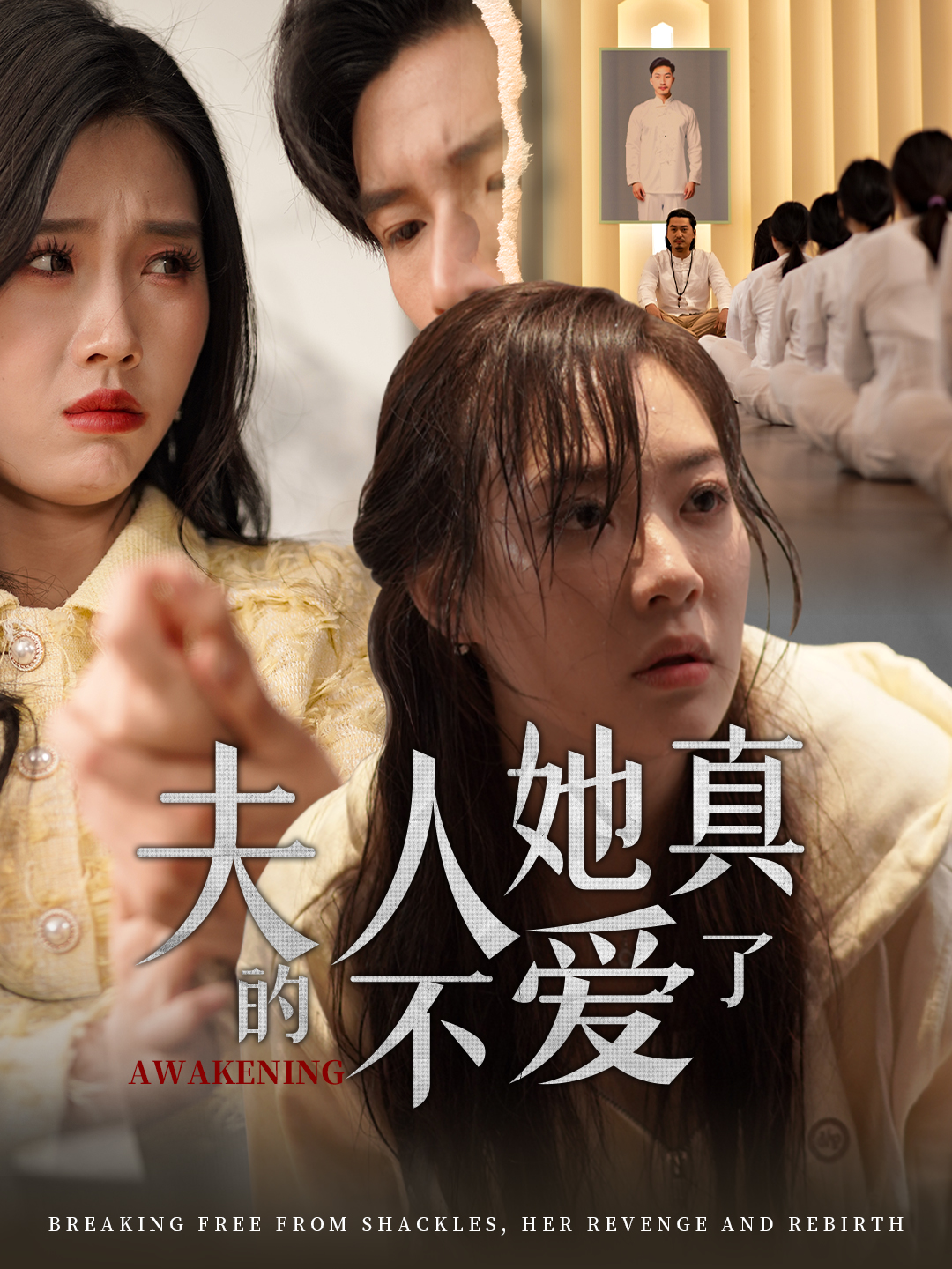 夫人她真的不愛(ài)了(全集)