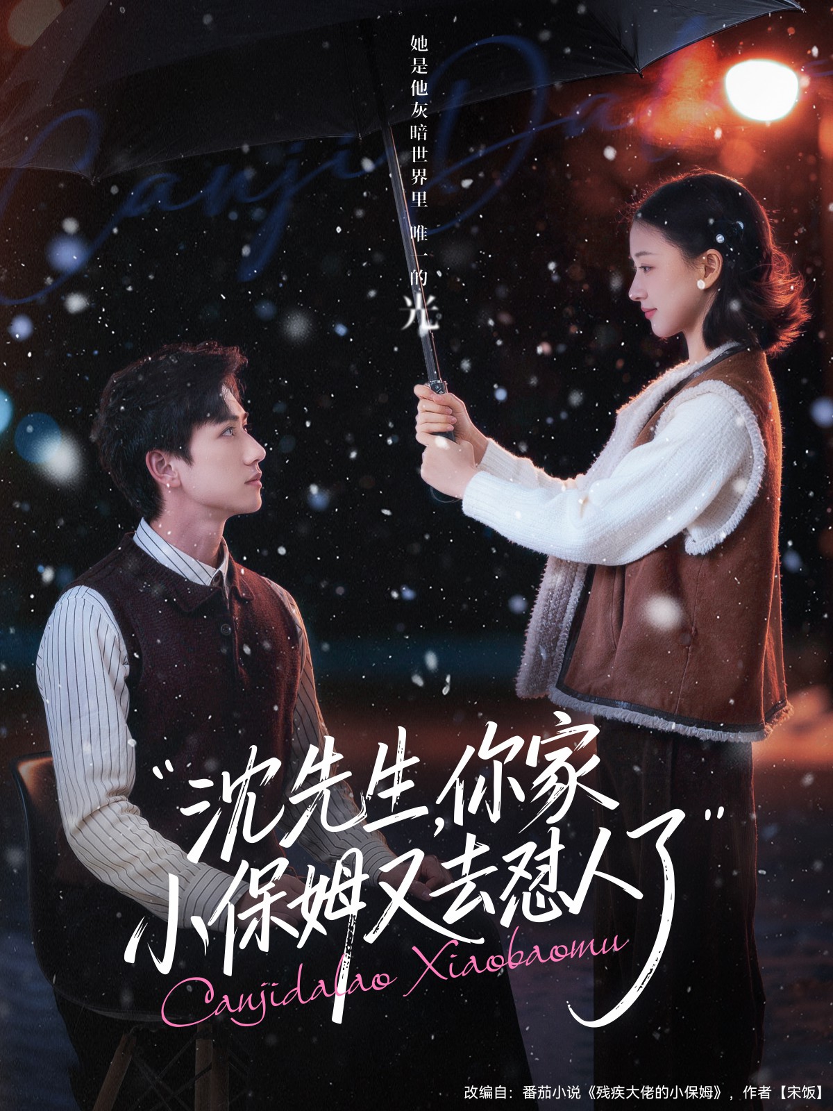 沈先生，你家小保姆又去懟人了(全集)