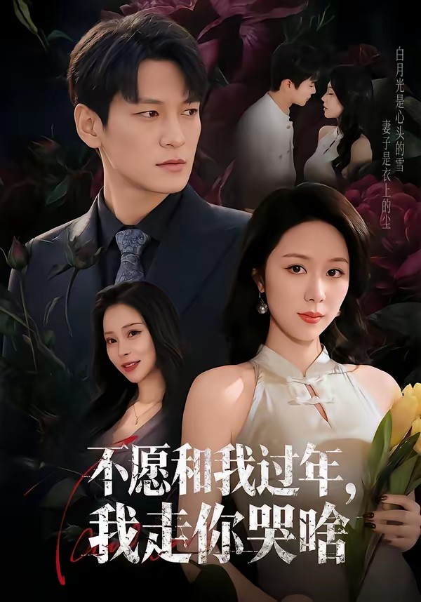 不愿和我過年，我走你哭啥(全集)