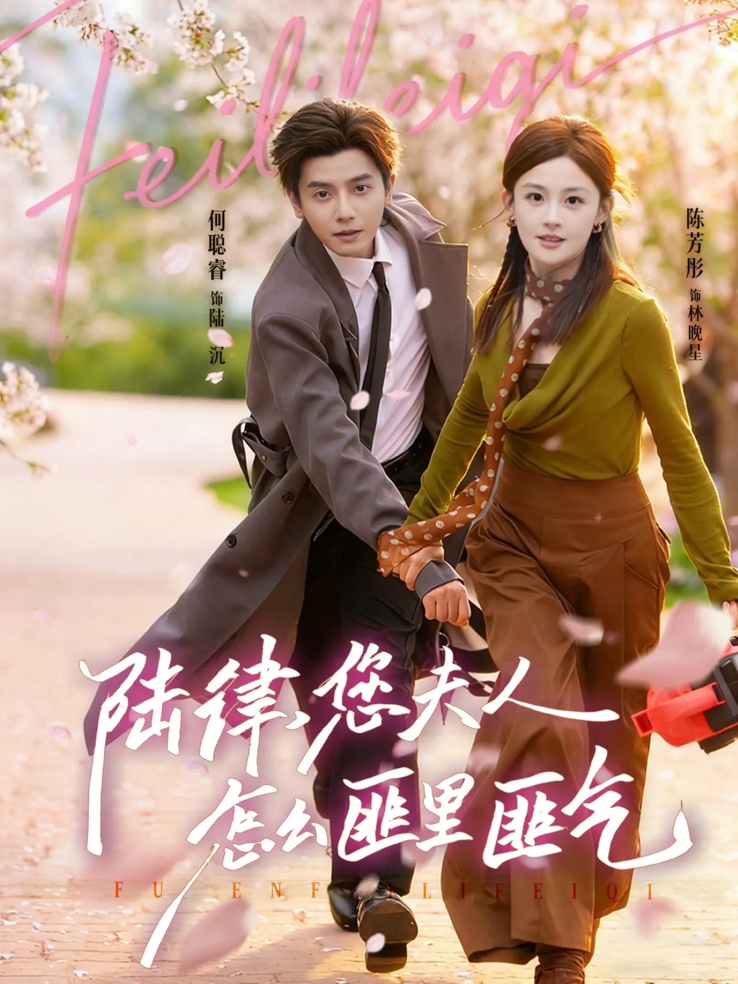 陸律，您夫人怎么匪里匪氣(全集)