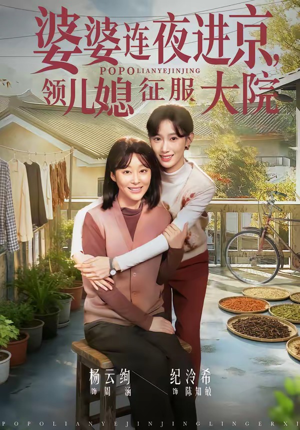 婆婆連夜進京，領兒媳征服大院(全集)