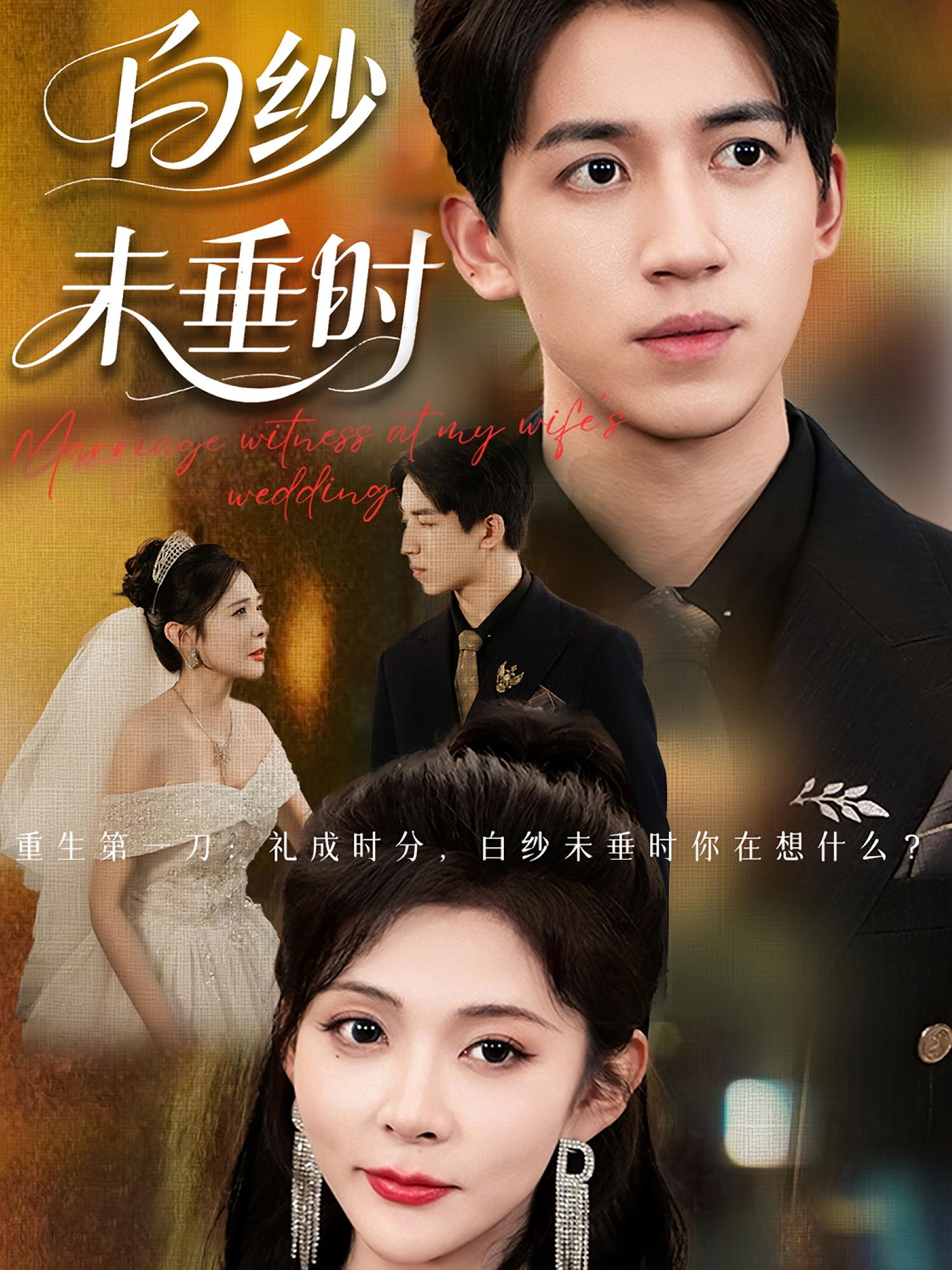 老婆婚禮我當證婚人，白紗未垂時(全集)