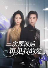 三次原諒后再見(jiàn)我的愛(ài)(全集)
