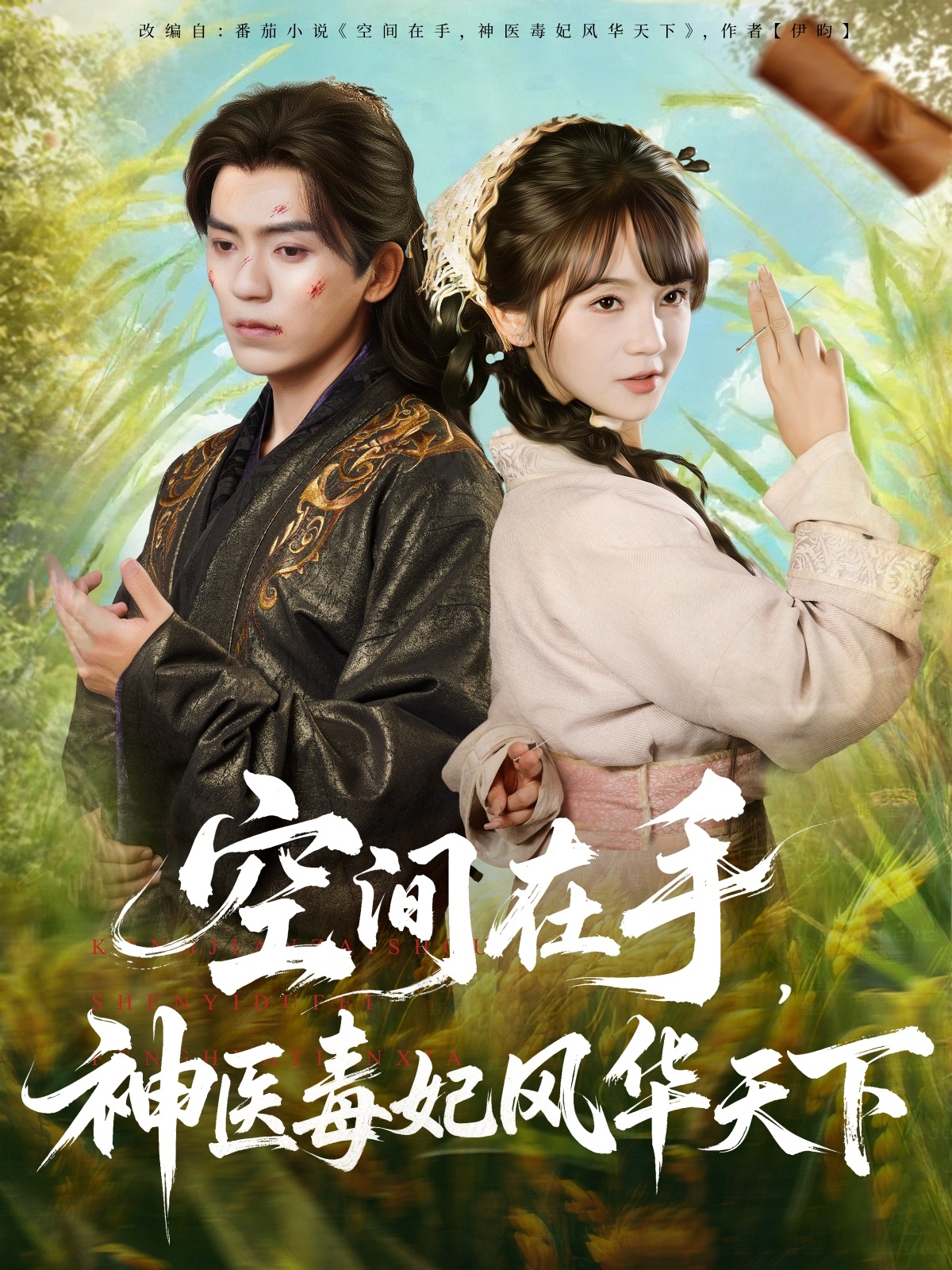 空間在手，神醫(yī)毒妃風華天下(全集)