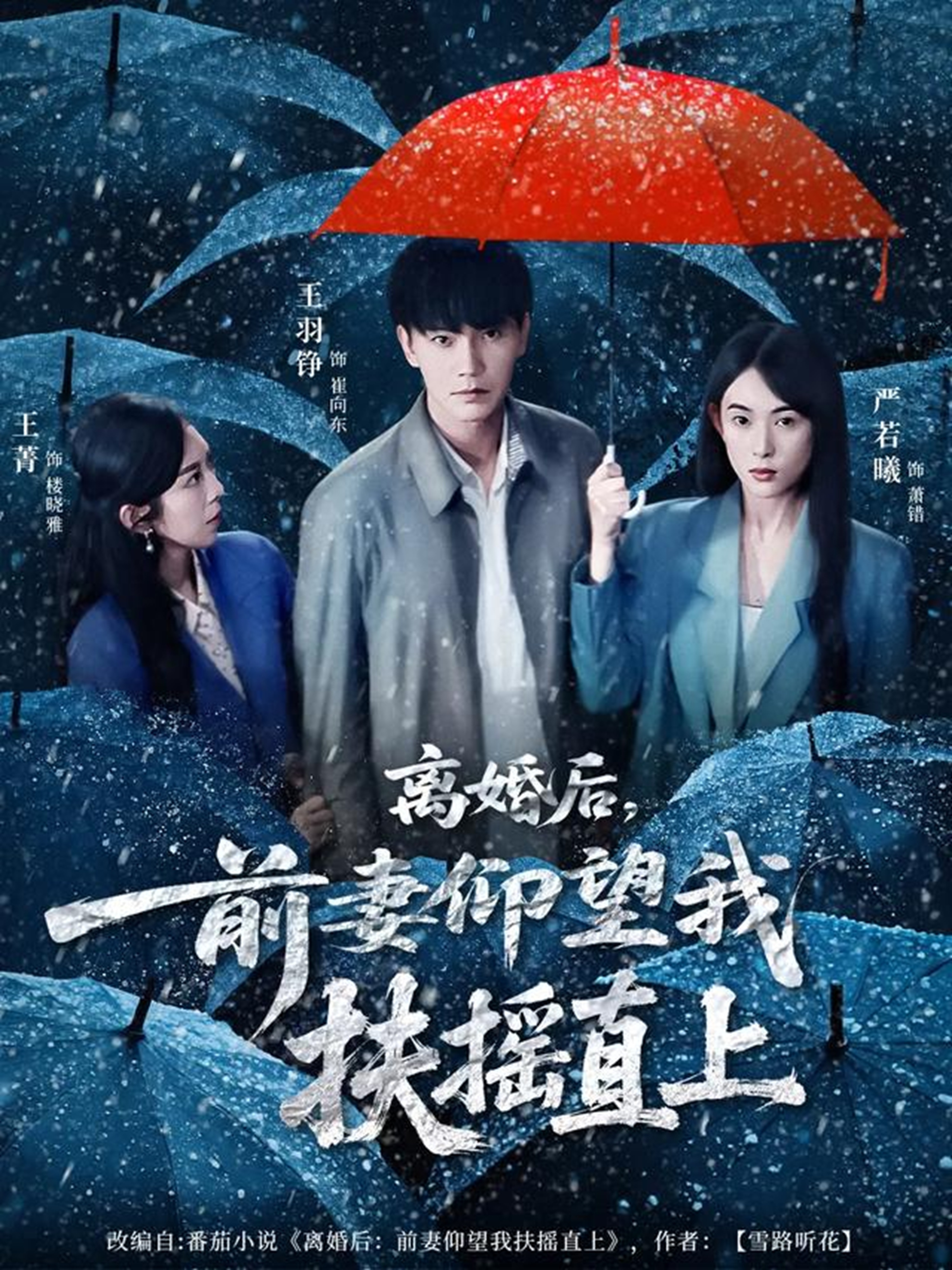 離婚后，前妻仰望我扶搖直上(全集)