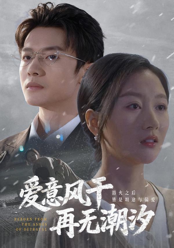 愛意風(fēng)干再無潮汐(全集)