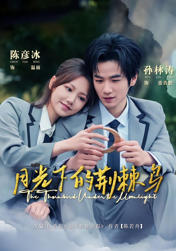 月光下的荊棘鳥(niǎo)(全集)