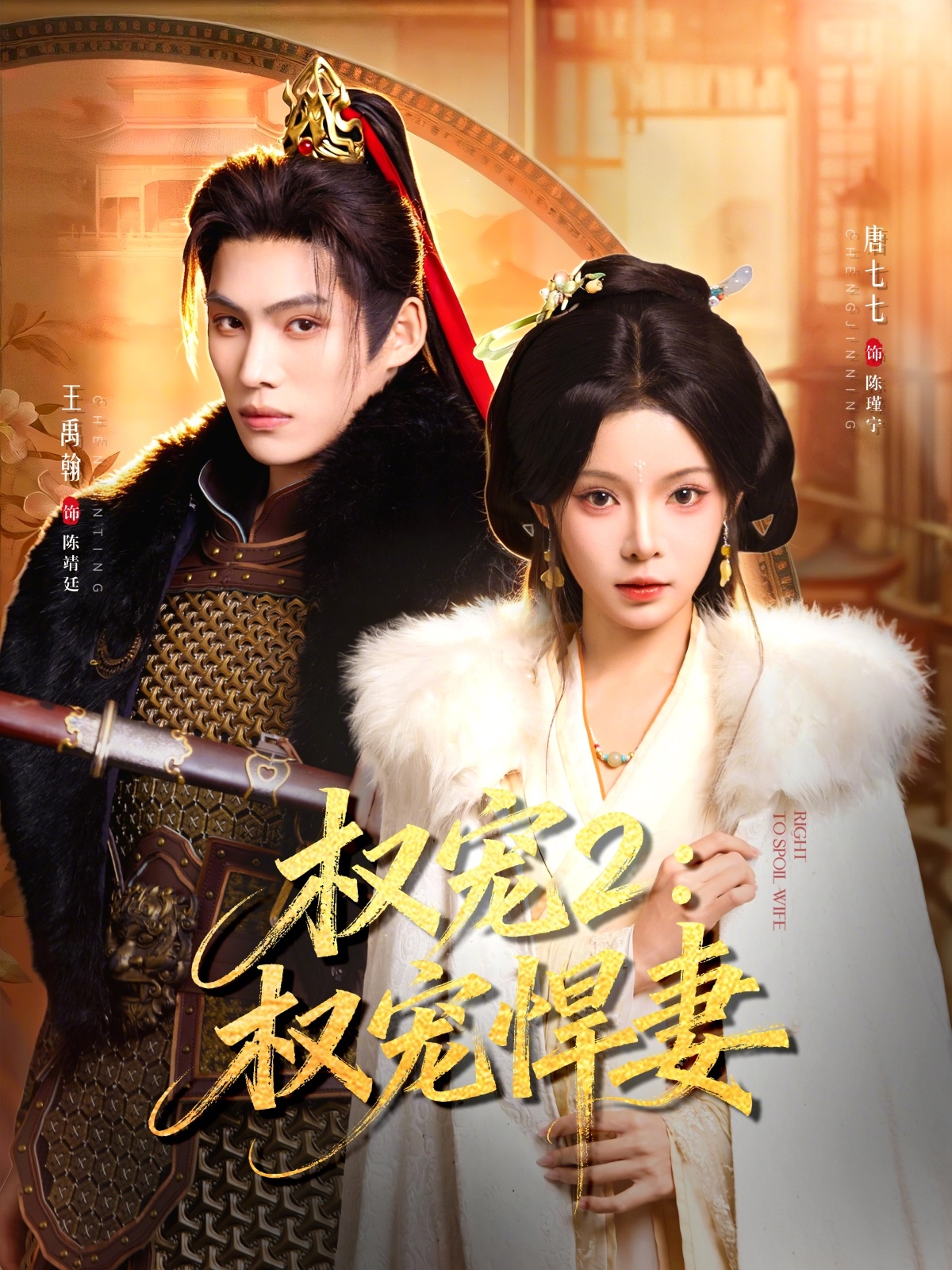 權寵2：權寵悍妻(全集)