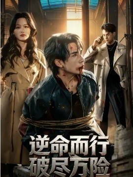 逆命而行破盡萬(wàn)險(xiǎn)(全集)