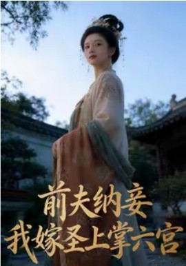 前夫納妾，我嫁圣上掌六宮(全集)