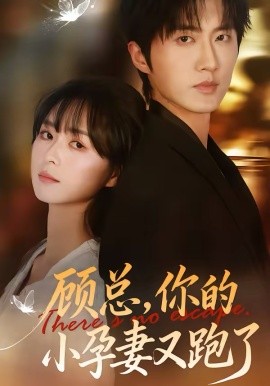 顧總，你的小孕妻又跑了(全集)