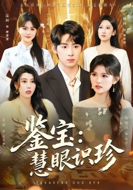 鑒寶：慧眼識(shí)珍(全集)