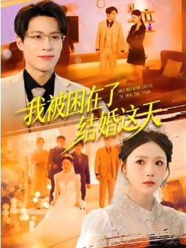 我被困在了結(jié)婚這天(全集)